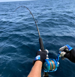 Jigging Tuna www.nyctunacharters.com